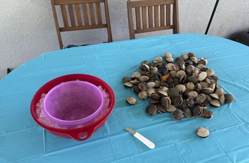 Crystal Coast Scalloping