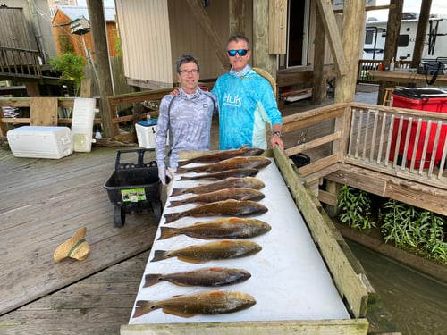Catching New Orleans