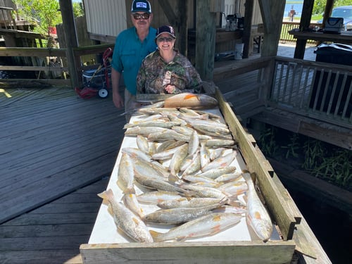 Catching New Orleans