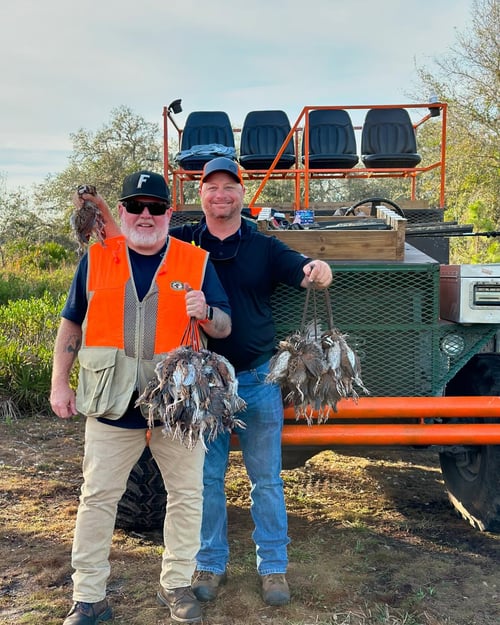 Bobwhite Quail Hunting Adventure