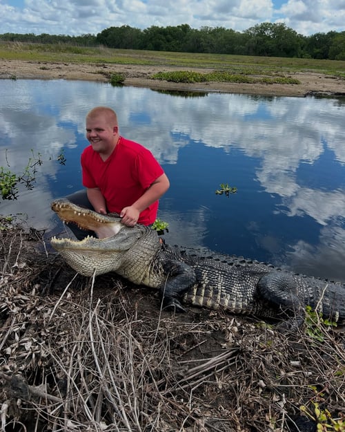 Florida Gator Takedown- 12'