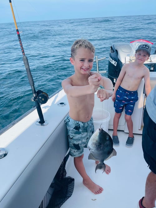 Orange Beach Bottomfishing Special