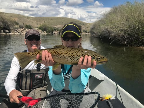 Beaverhead Ranch River Private Water