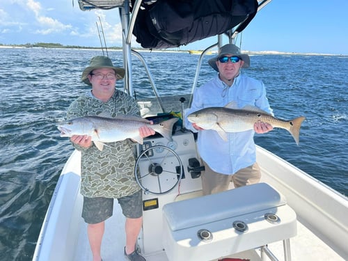PCB Half Day Inshore
