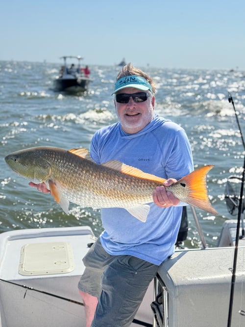 Inshore/Nearshore Experience