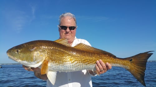 Inshore " Catch Fish Guarantee"