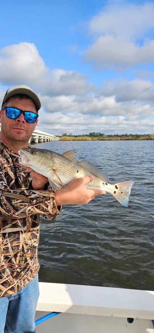 Trolling and Bottom Fishing