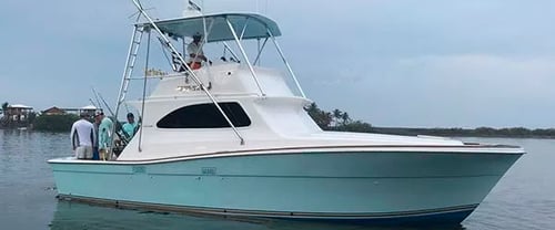 World Class Pacific Billfish Bash