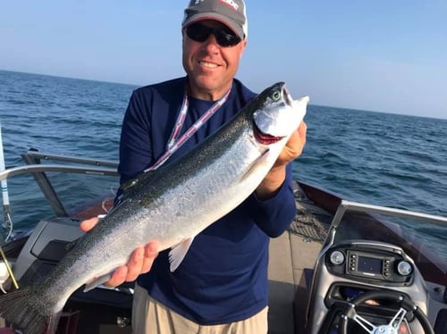 Full Day Walleye and Steelhead Trip