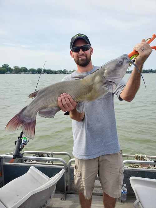 Lake Erie Catfish Special