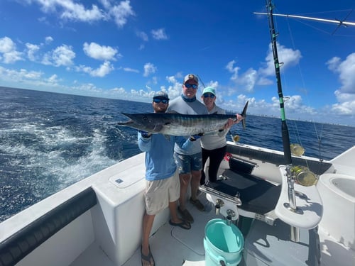 Full Day Off Shore Deep Sea Fishing