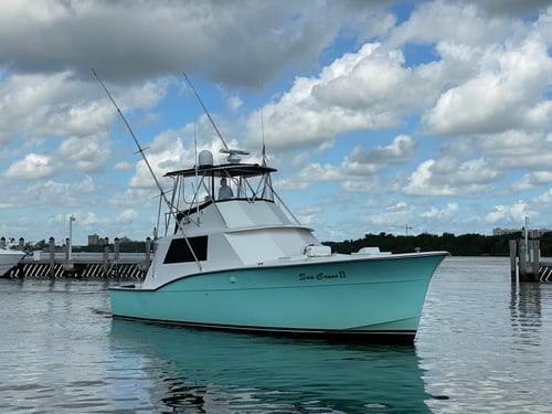 Full Day Off Shore Deep Sea Fishing