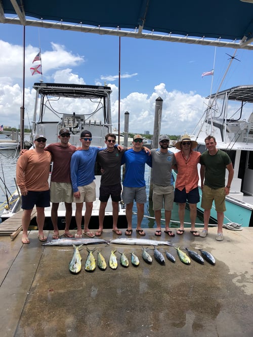 Luxury off shore full day deep sea fishing