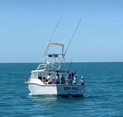 Clearwater Fishing Thriller!