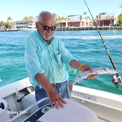 Inshore Florida Fish Frenzy!