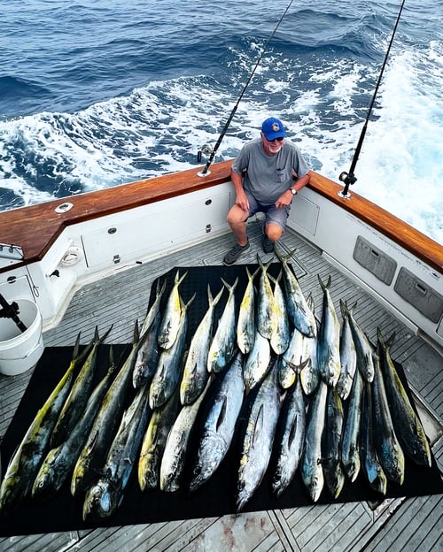 Bluefin Tuna, Mahi Mahi Fishing in San Diego, California