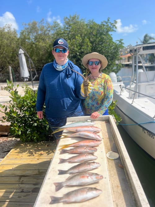 Epic Fish and Snorkel Combo