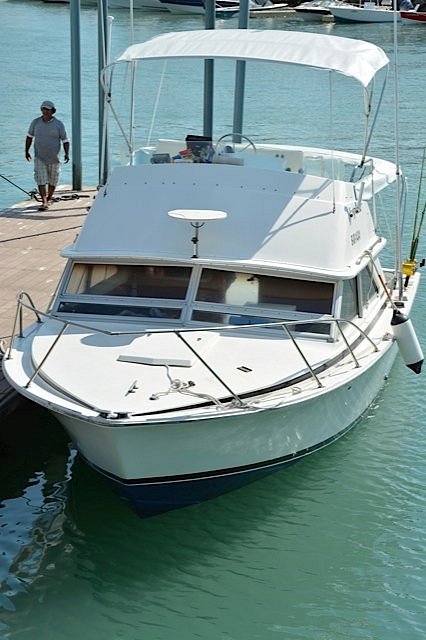 Marlin Fishing in Ecuador
