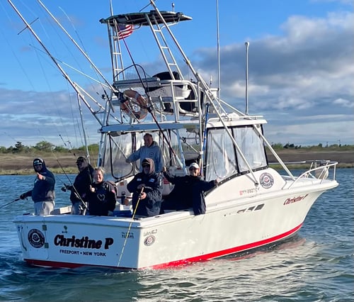 Offshore Monster Sharking!!