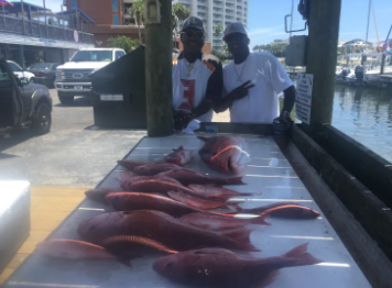 Red Snapper Trip with Captain Craig