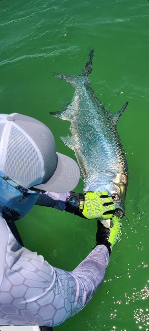 Tarpon Fishing in Miami, Florida