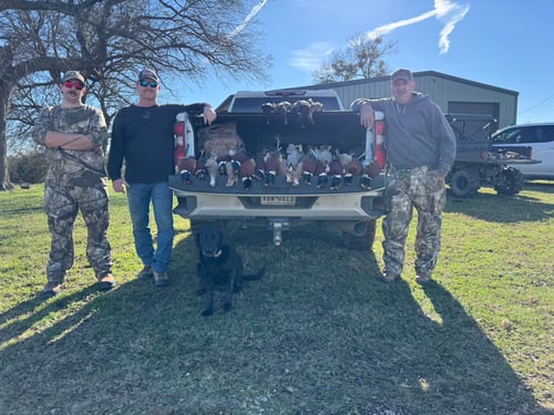Texas Waterfowl Whack!