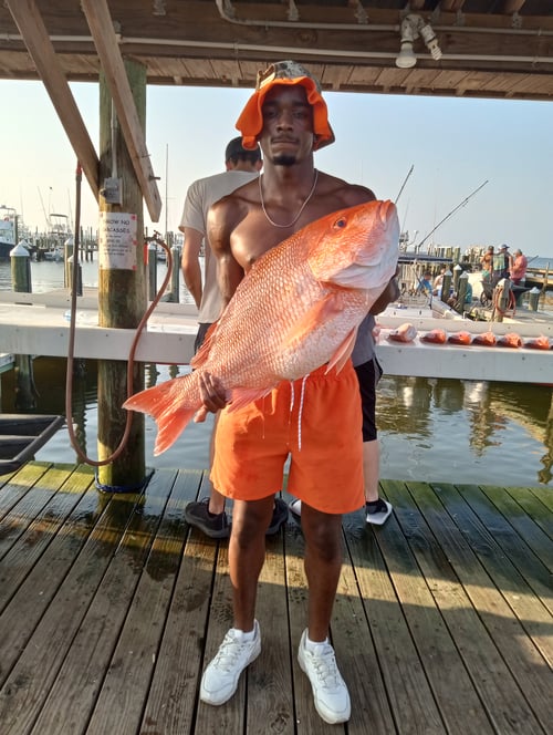 Offshore snapper