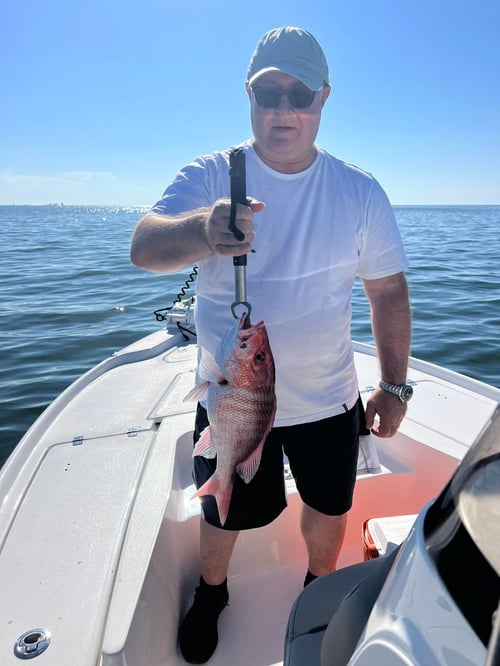Red Snapper Trip