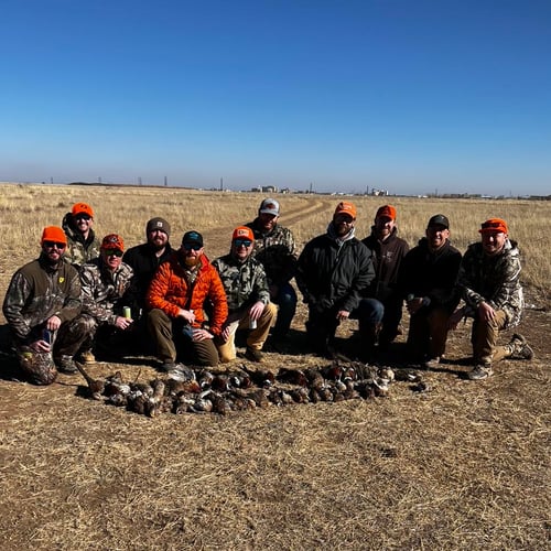 Texas Upland Trio Hunt