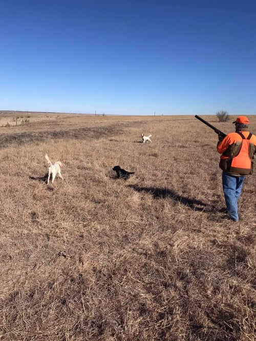 Chasing Pins in North Texas!