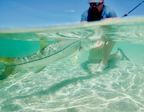 Inshore Fishing Vero Beach