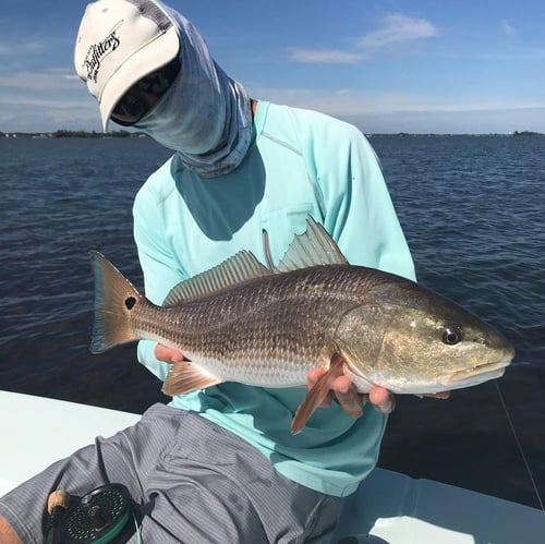 Inshore Fishing Vero Beach
