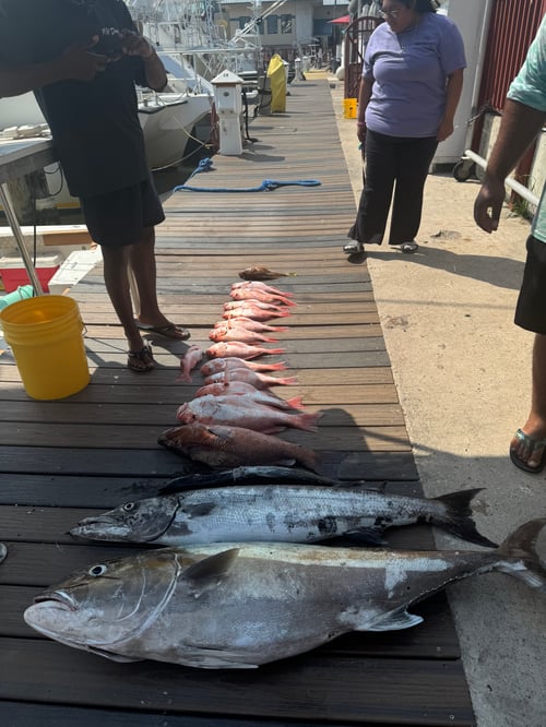 Bottom Fishing and Jigging