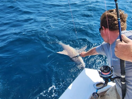 Bottom Fishing and Jigging