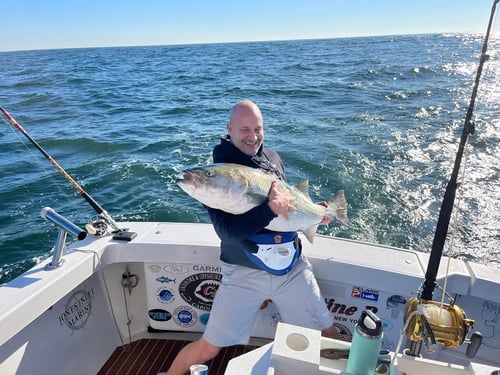 New York Sea Bass Thriller!