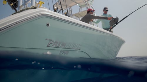 Deep Sea Fishing Trip