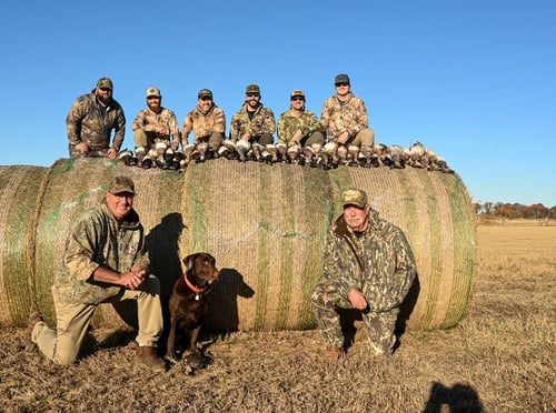 Central Texas Duck Hunts