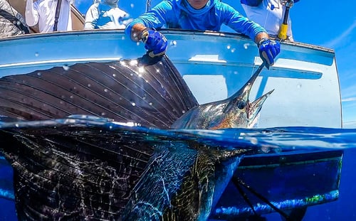 Deep Water Seamounts