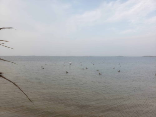 Duck Charter Drop Off