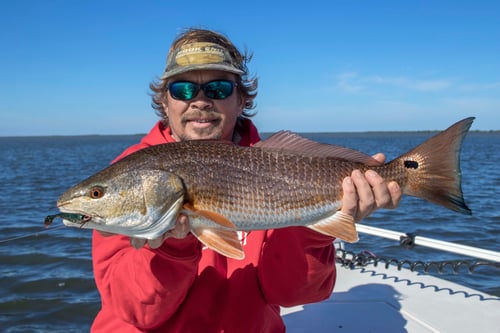 Redfish Fishing in Allenhurst, Florida