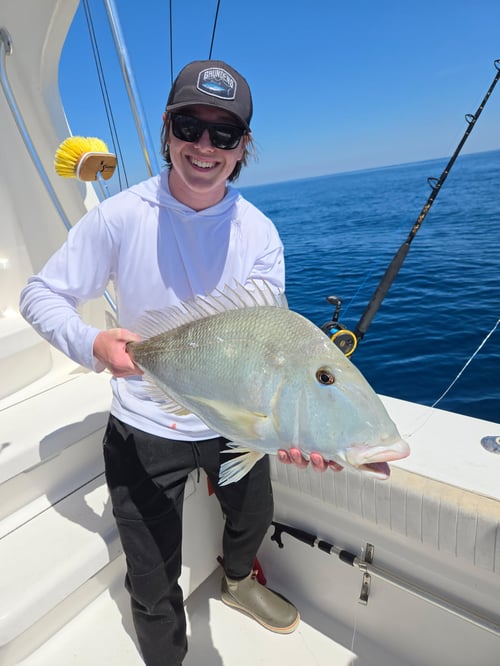 VIP Offshore - Up to 6 Anglers