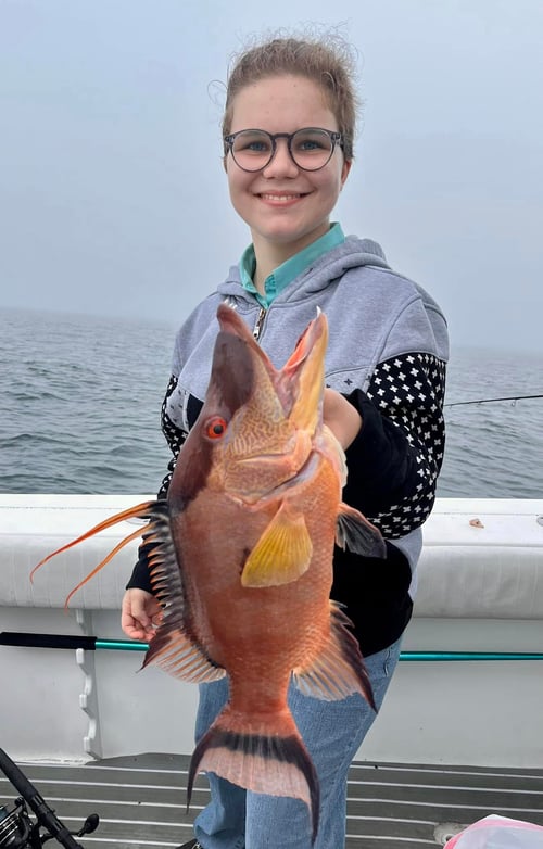 Half Day Trip (4hrs)