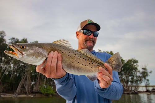Speckled Trout Fishing in Allenhurst, Florida