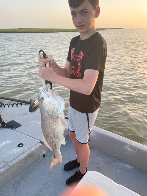 Inshore/Flats Fishing Trip