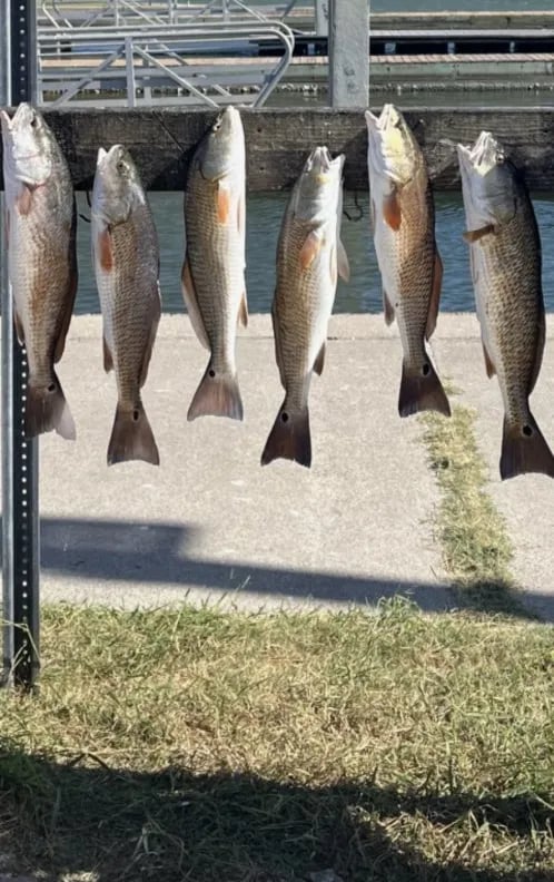 Aransas Pass Bay Fishing