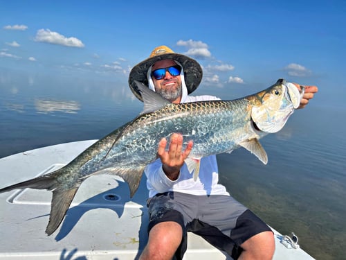 Tarpon Fishing in Everglades City, Florida