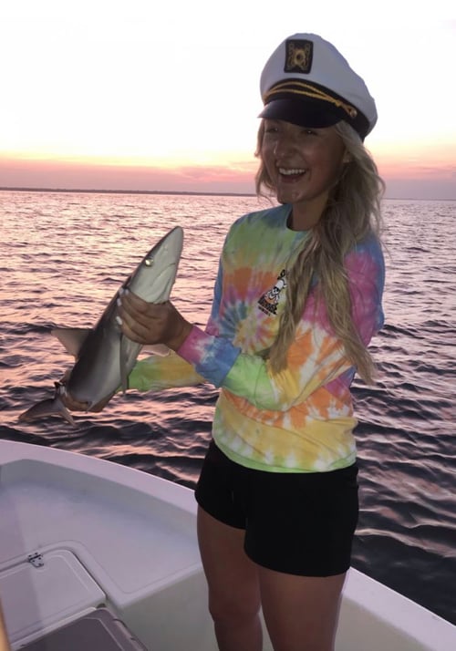 3 Hour Beginner Shark Fishing