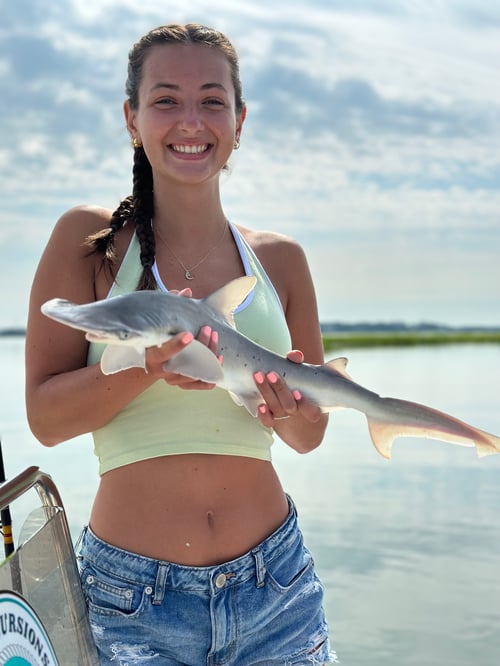 3 Hour Beginner Shark Fishing