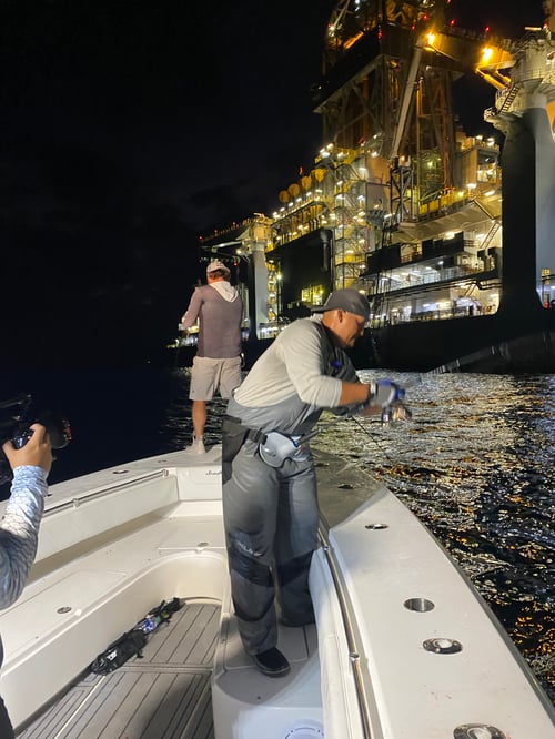 Offshore Fishing (FADs / Oil Rigs)