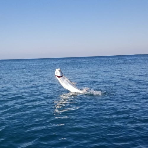 Evening Tarpon Slam